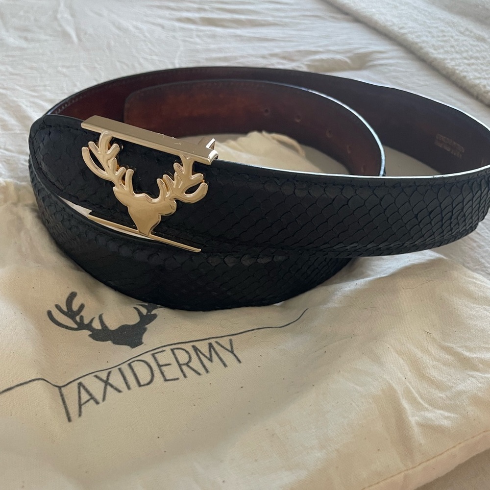 Taxidermy Python Logo Belt